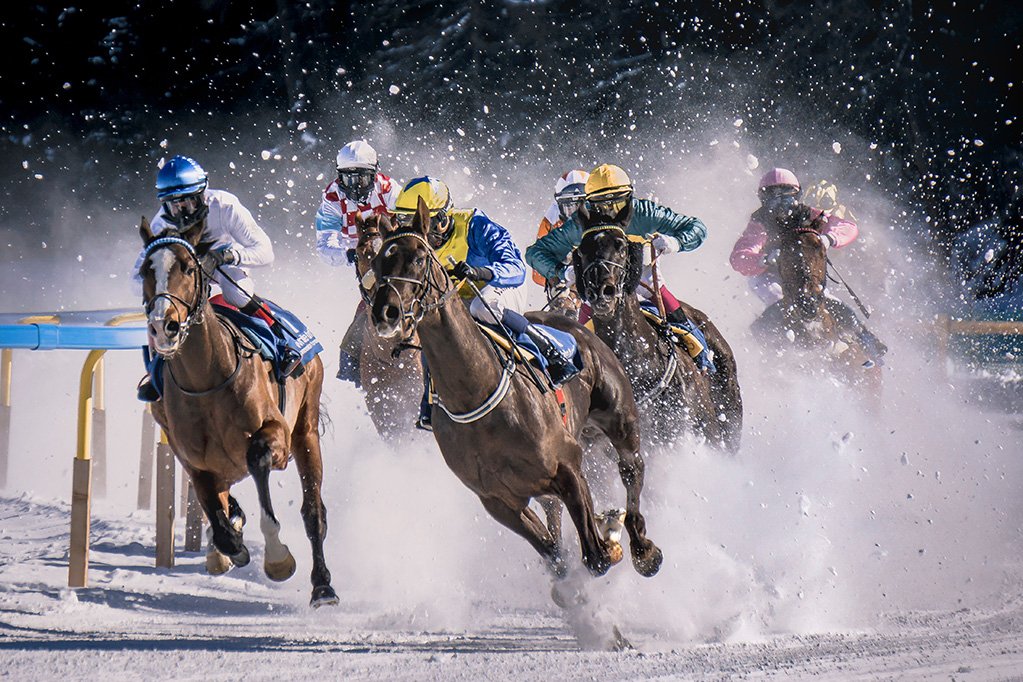 Esportebet em corridas de cavalos: tipos, análise e estratégias de